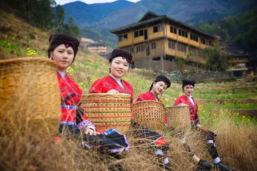 龙脊红瑶寨门票,桂林龙脊梯田门票优惠政策最新