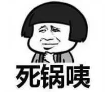 三种颜色的猫是什么品种,怎么区分猫的品种