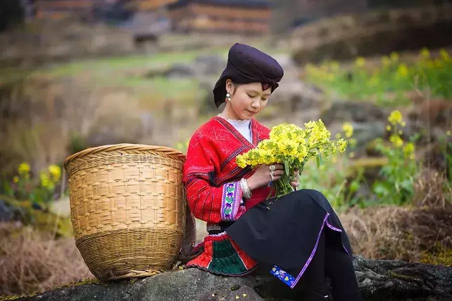 龙脊红瑶寨门票,桂林龙脊梯田门票优惠政策最新