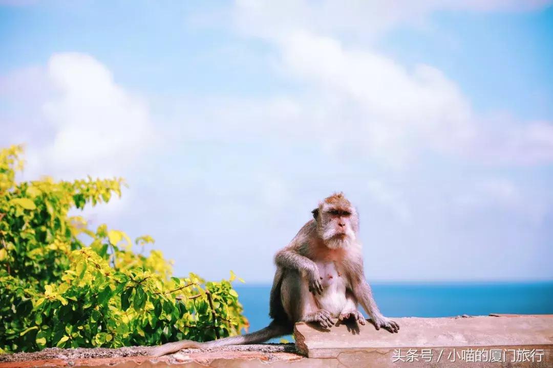 最值得去的52个旅行地,80个最值得一去的旅游胜地