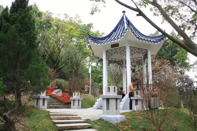 还没看的景点,大夫山最美景色