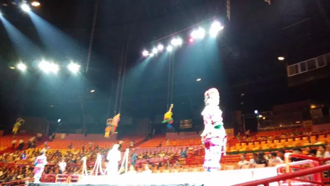 广州长隆野生动物园全程游记,长隆野生动物园游记文章大全