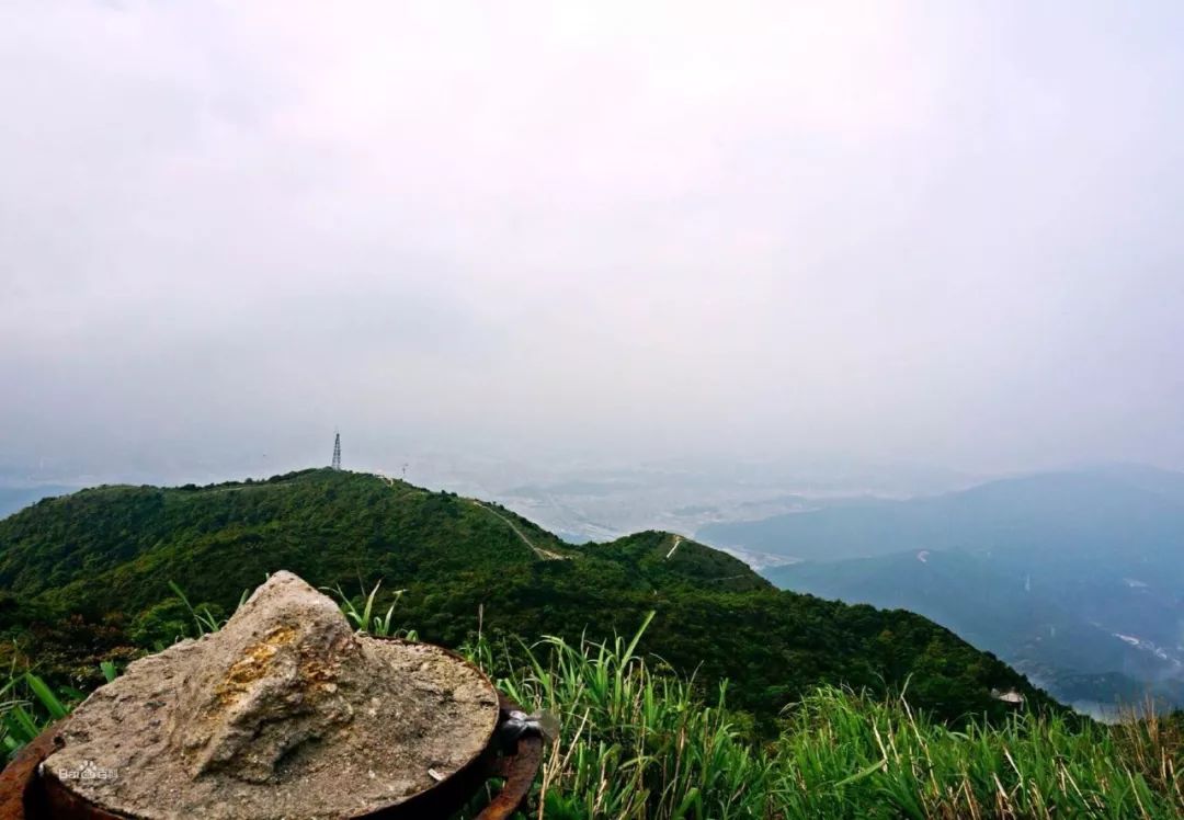 吹手报告|那些不上班的写作者