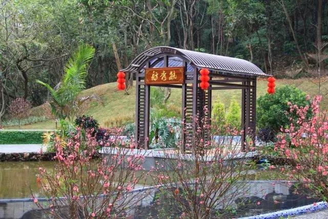 还没看的景点,大夫山最美景色