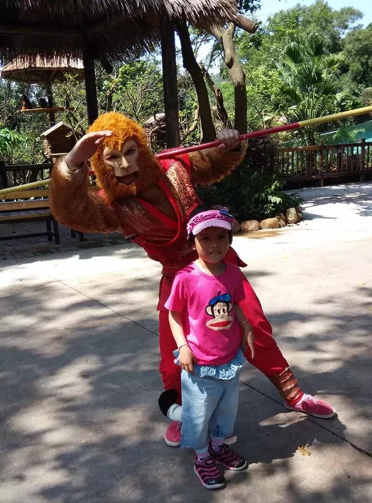 广州长隆野生动物园全程游记,长隆野生动物园游记文章大全