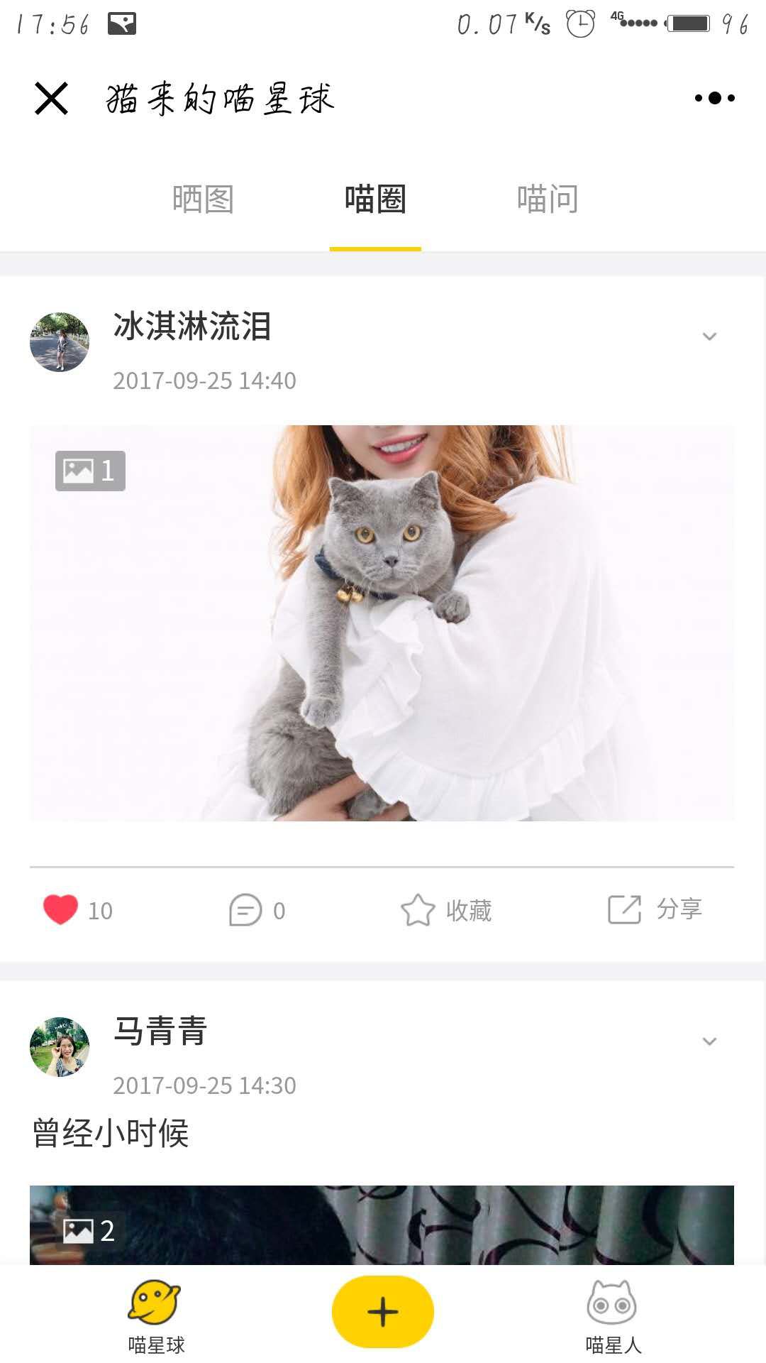 从事和猫相关的工作有什么,猫咪行为咨询师职业