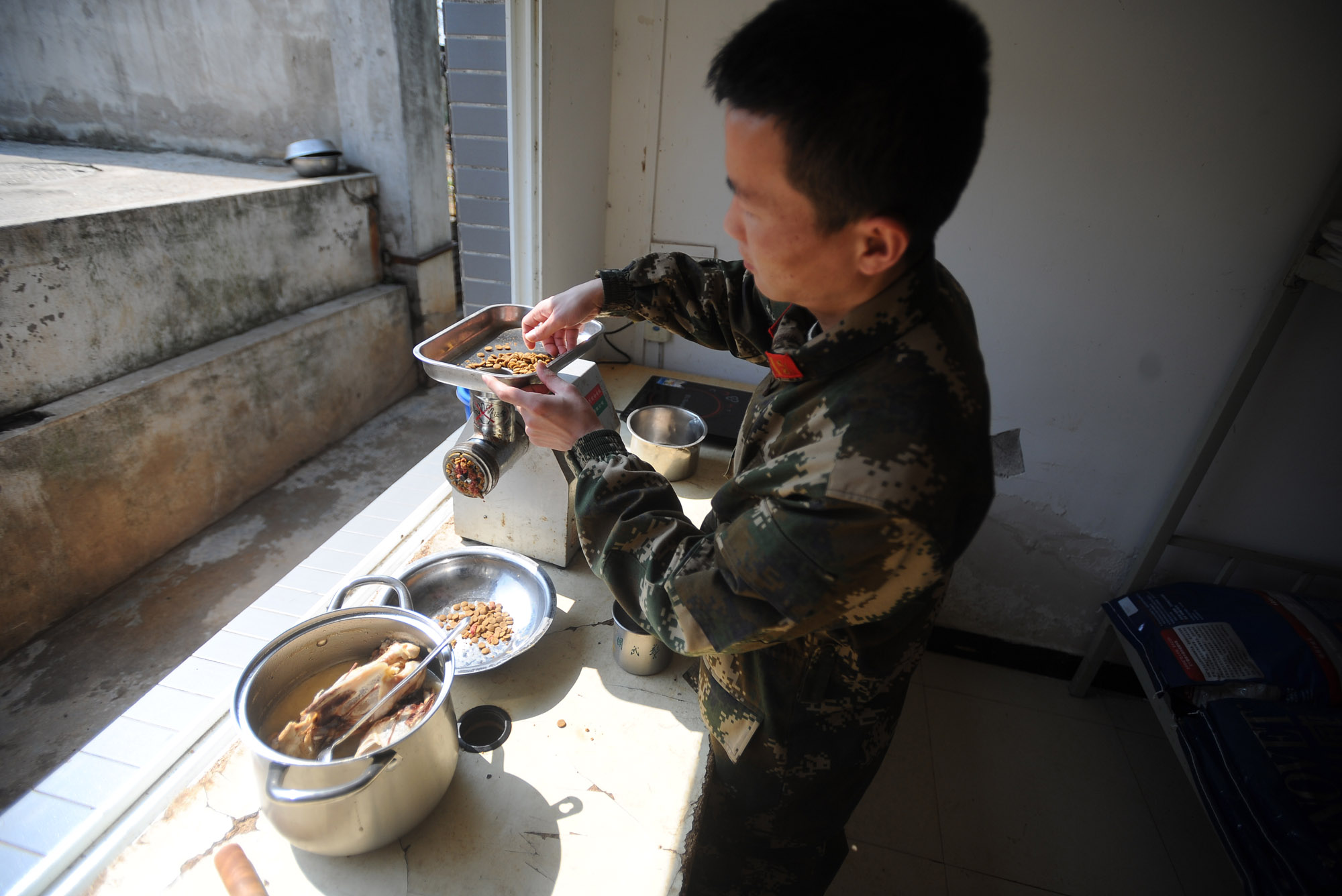 搜救犬跳火圈完全视频,搜救犬在演练中发现幸存者的眼神