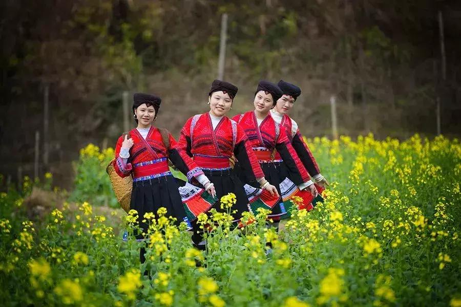 龙脊红瑶寨门票,桂林龙脊梯田门票优惠政策最新