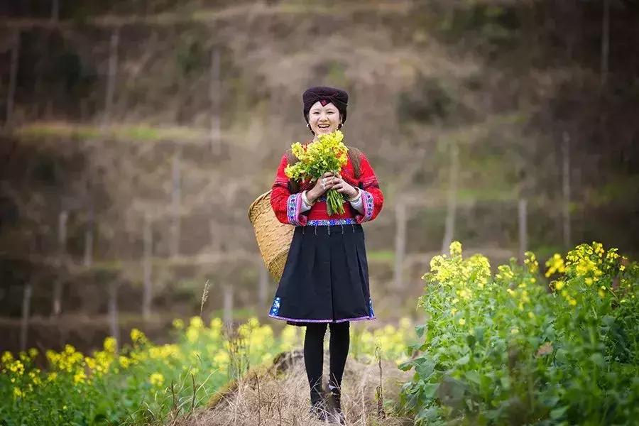 龙脊红瑶寨门票,桂林龙脊梯田门票优惠政策最新