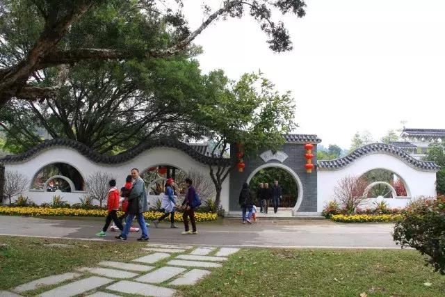 还没看的景点,大夫山最美景色