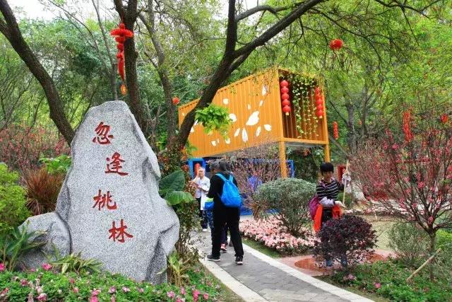 还没看的景点,大夫山最美景色