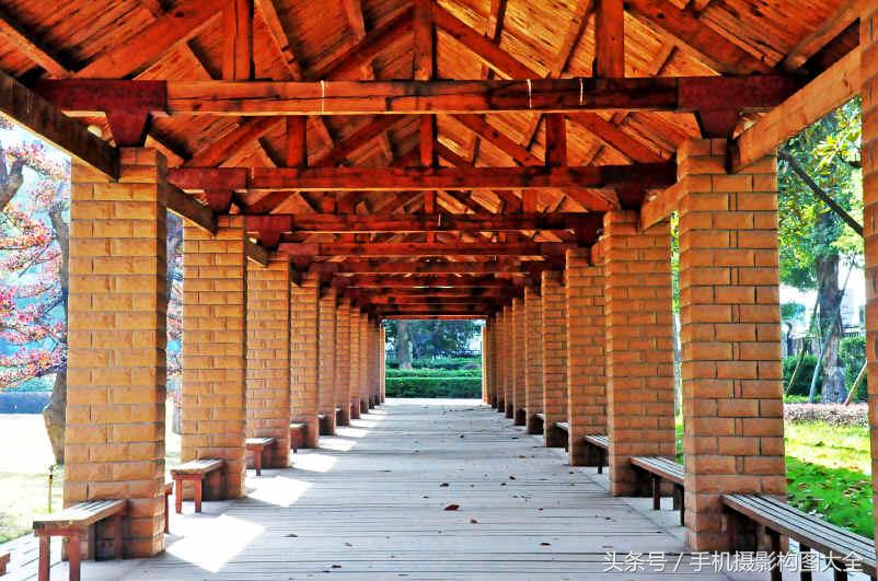 摄影构图入门必备景点,拍摄爆火的七大构图