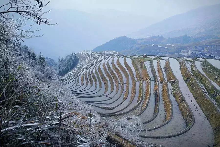 龙脊红瑶寨门票,桂林龙脊梯田门票优惠政策最新