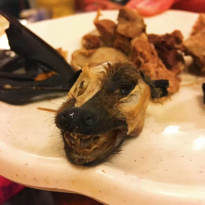 蜜月短途旅行,蜜月旅行遇见朋友闺蜜