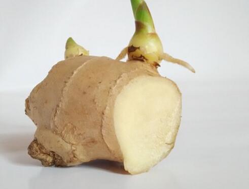 种植一亩地生姜的成本是多少,种植生姜一亩地用多少生物有机肥