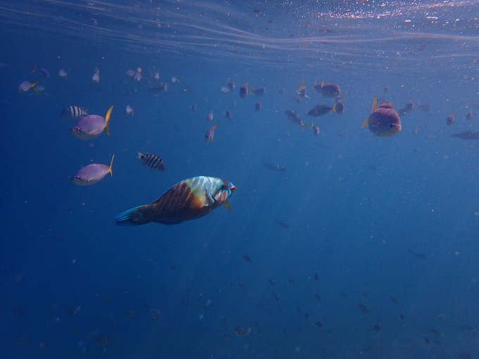 蜜月短途旅行,蜜月旅行遇见朋友闺蜜