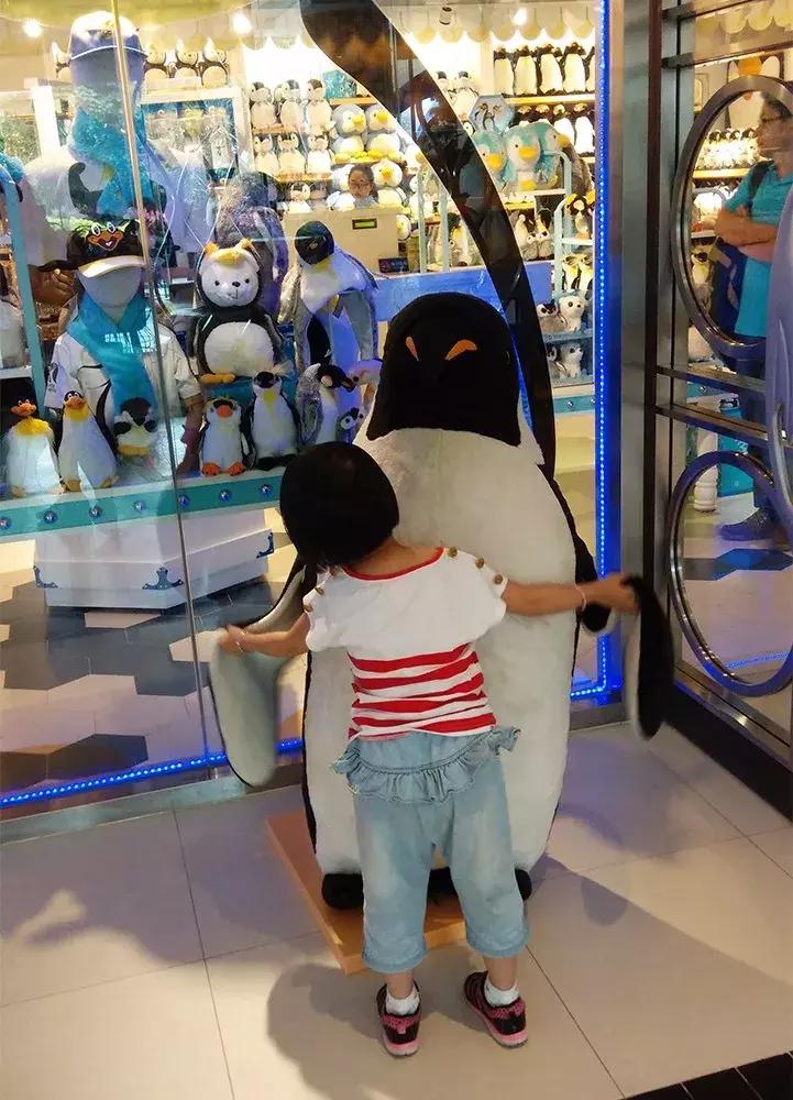 广州长隆野生动物园全程游记,长隆野生动物园游记文章大全