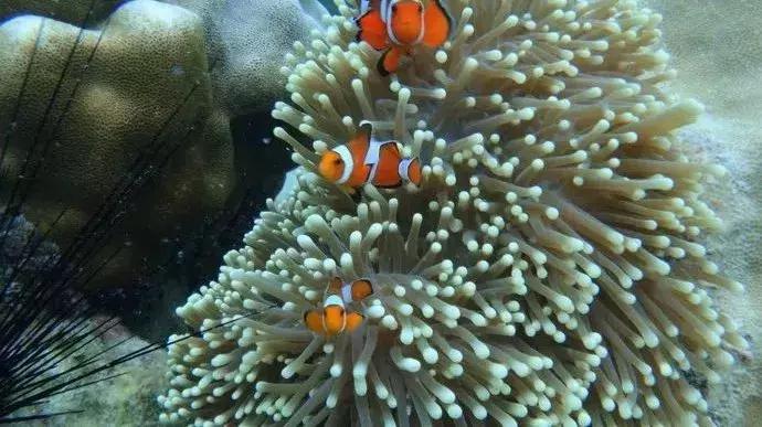 好办签证的海岛,签证简单的海岛