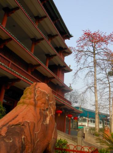 木棉花季，观众画风各异，老广州的画风肯定是这样，单纯又美味