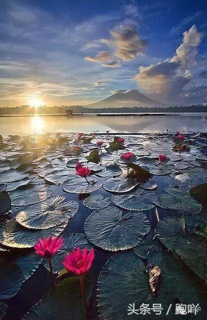 这10大东南亚“免签”仙境，月薪5K轻松走起，光看图已醉！