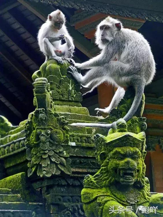 这10大东南亚“免签”仙境，月薪5K轻松走起，光看图已醉！