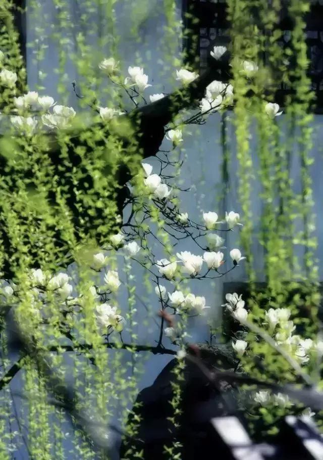 二十四节气惊蛰是哪一天,二十四节气惊蛰怎么画