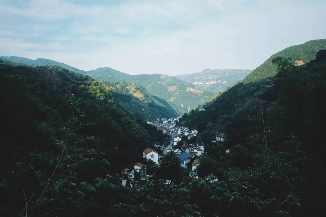 西施最爱的零食，恐龙时代已经存在，找遍整个中国才找到