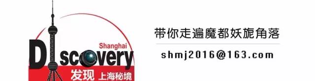 赏花上海植物园,赏花需要的是什么