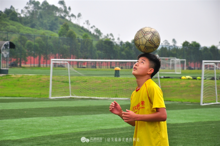 动静皆宜的唯美诗句,动静皆宜的诗句