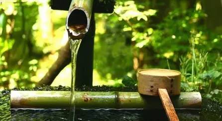 73岁“花婆婆”吴大真的私房美丽养生经