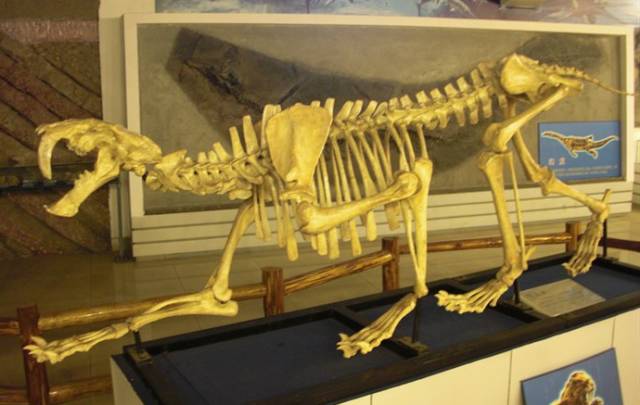 武汉下雨天带娃好去处,武汉雨后合适去哪里玩