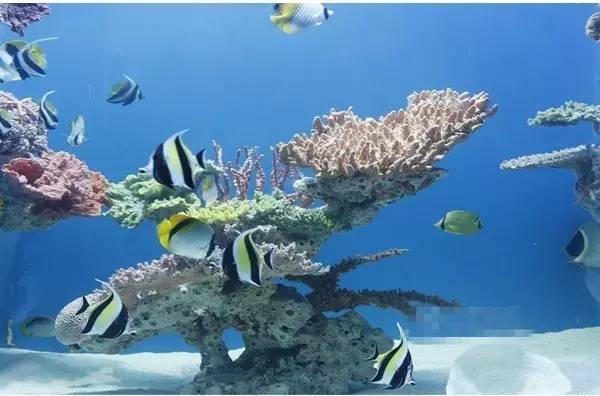 武汉下雨天带娃好去处,武汉雨后合适去哪里玩