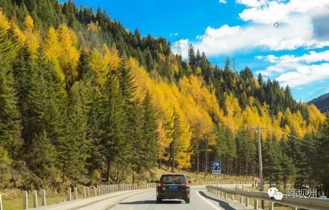 512汶川地震十二年铭记历史,缅怀汶川512地震