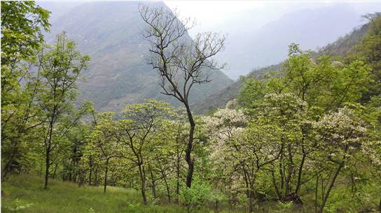 扶贫日记300字左右,扶贫日记100篇50字左右