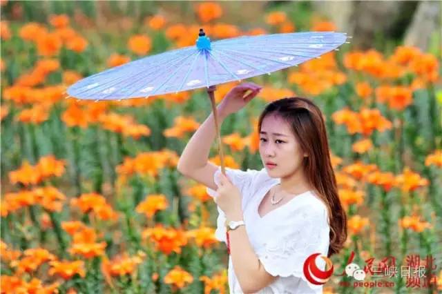 宜昌花海推荐,宜昌6月份花海景点有哪些