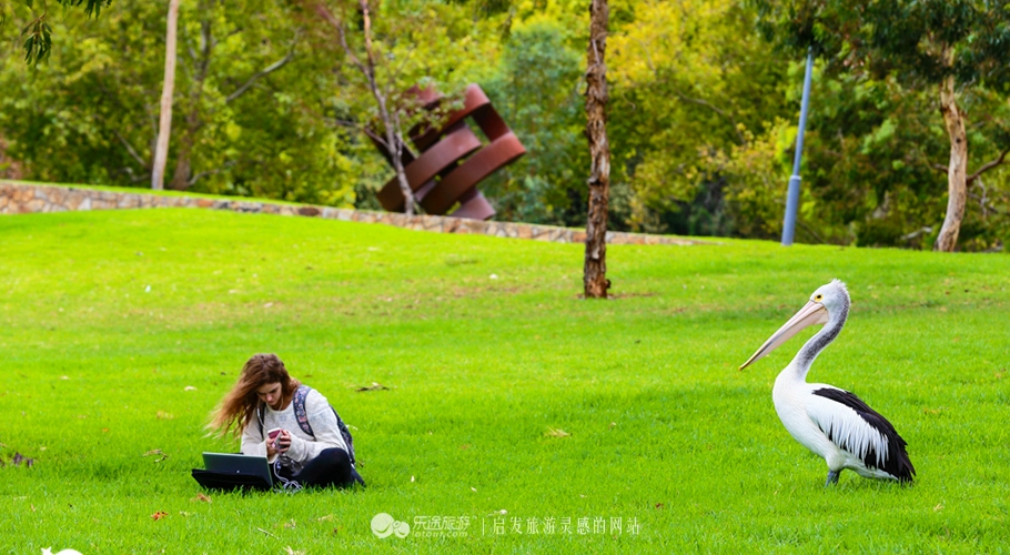 阿德莱德风景生活环境,阿德莱德有哪些景点