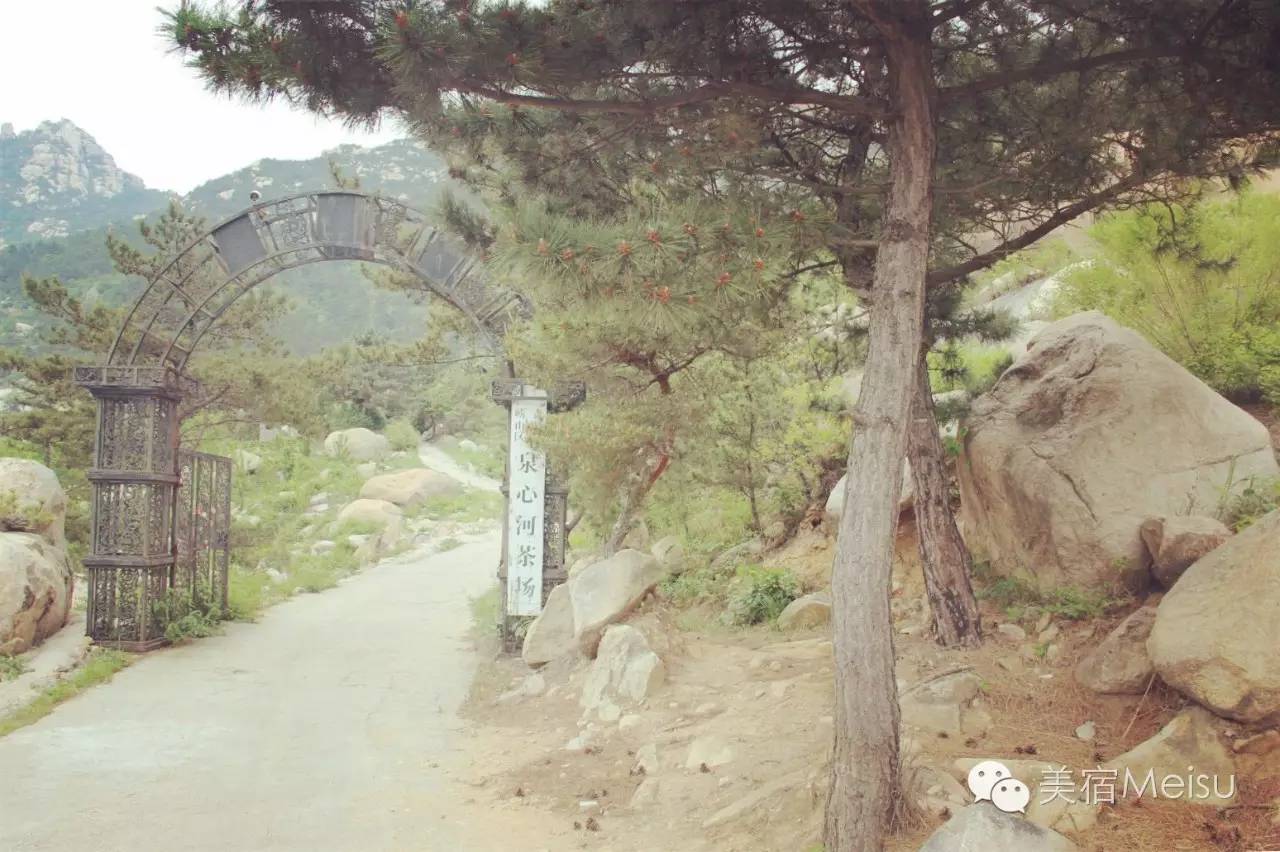 一家惊艳国牌度假界、一家美翻华北民宿圈，两种体验，看见最妩媚的青岛