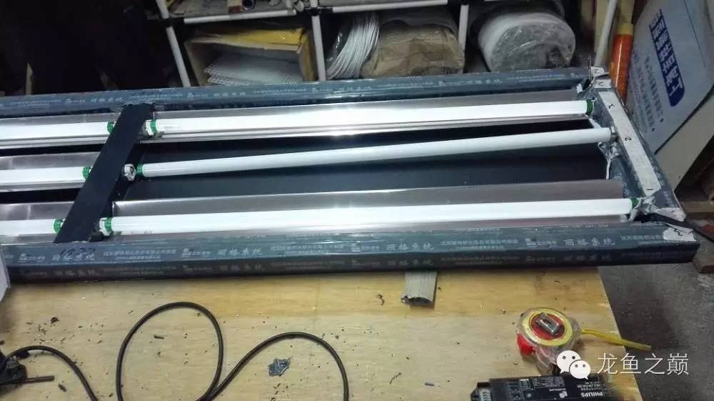 超级白，超会做，这才叫养鱼！