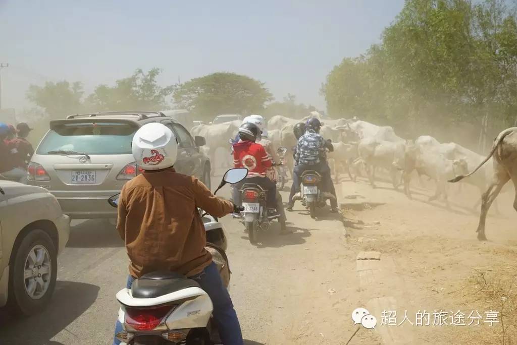 越南胡志明奥黛店,在胡志明街头偶遇穿奥黛的美女