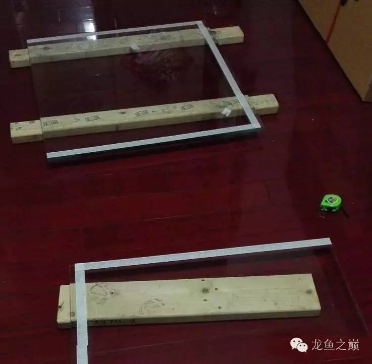 超级白，超会做，这才叫养鱼！