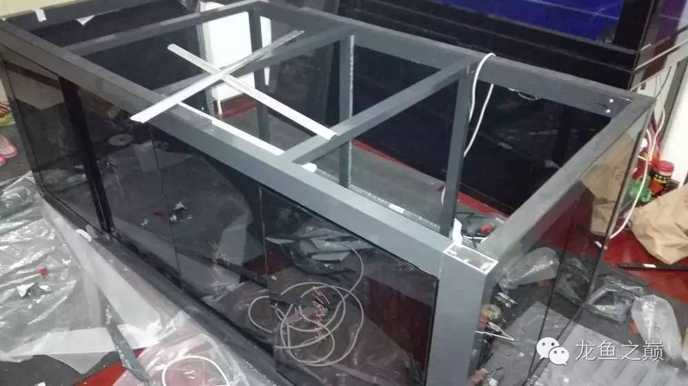 超级白，超会做，这才叫养鱼！