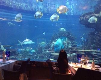 只是纯粹想分享个状态吗？不，因为穷的只剩钱了