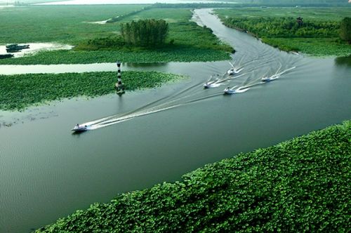 从A到Z，26个字母让你读懂微山湖红荷湿地