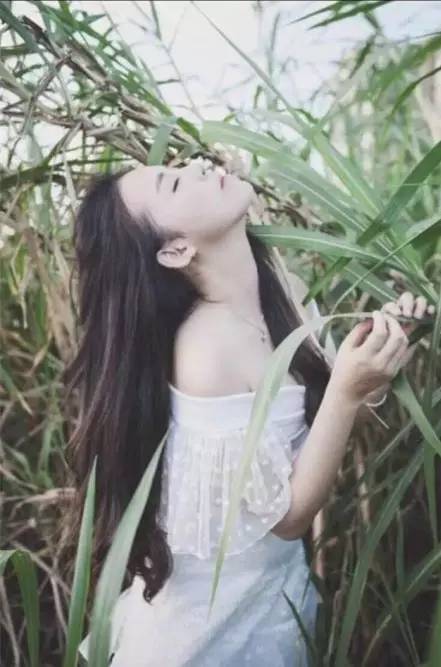 青春写在高三毕业,青春写在你的脸上