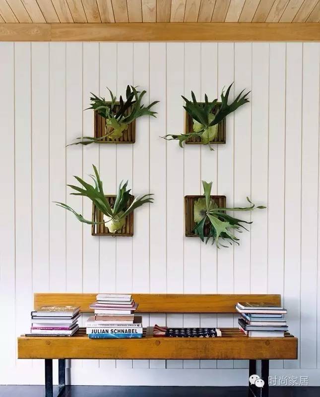 如何打造小型珍稀植物园,如何打造一个美丽的植物园