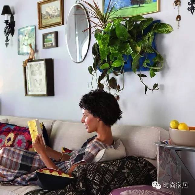 如何打造小型珍稀植物园,如何打造一个美丽的植物园