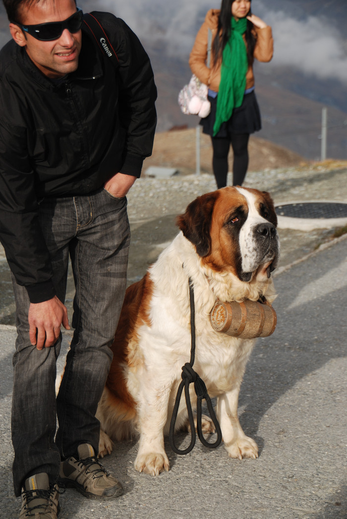 瑞士十日深度自驾游之六,湖光山色瑞士旅游