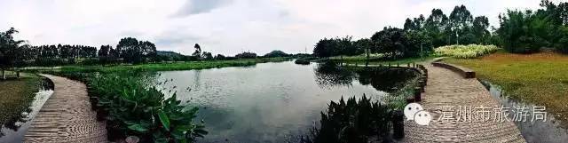 杭州西溪生态公园,西溪郊野公园好玩吗