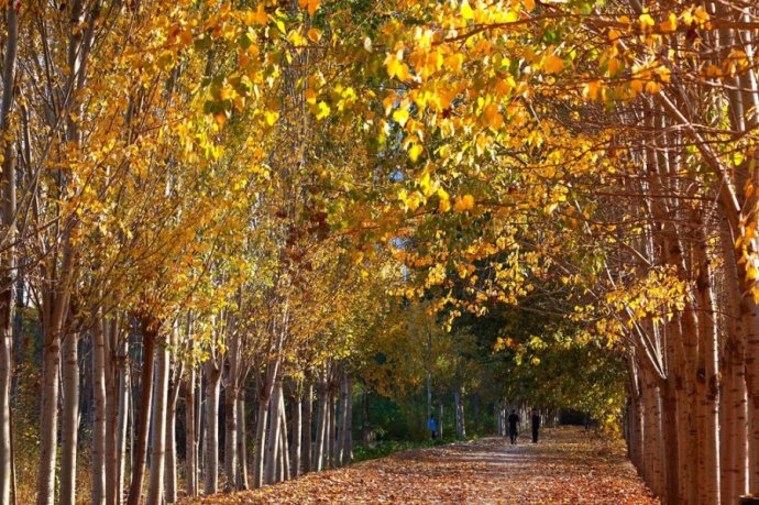 银川哪里最合适居住,银川哪个地段合适居住