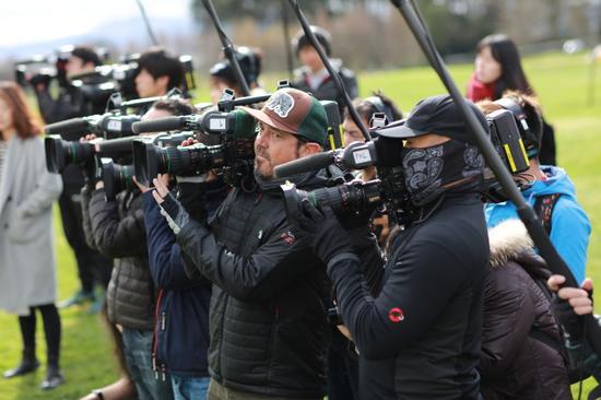 综艺后期神人:B站大神、《围城》铁粉出没